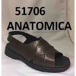 51706 ANATOMICA