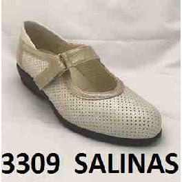 3309 SALINAS